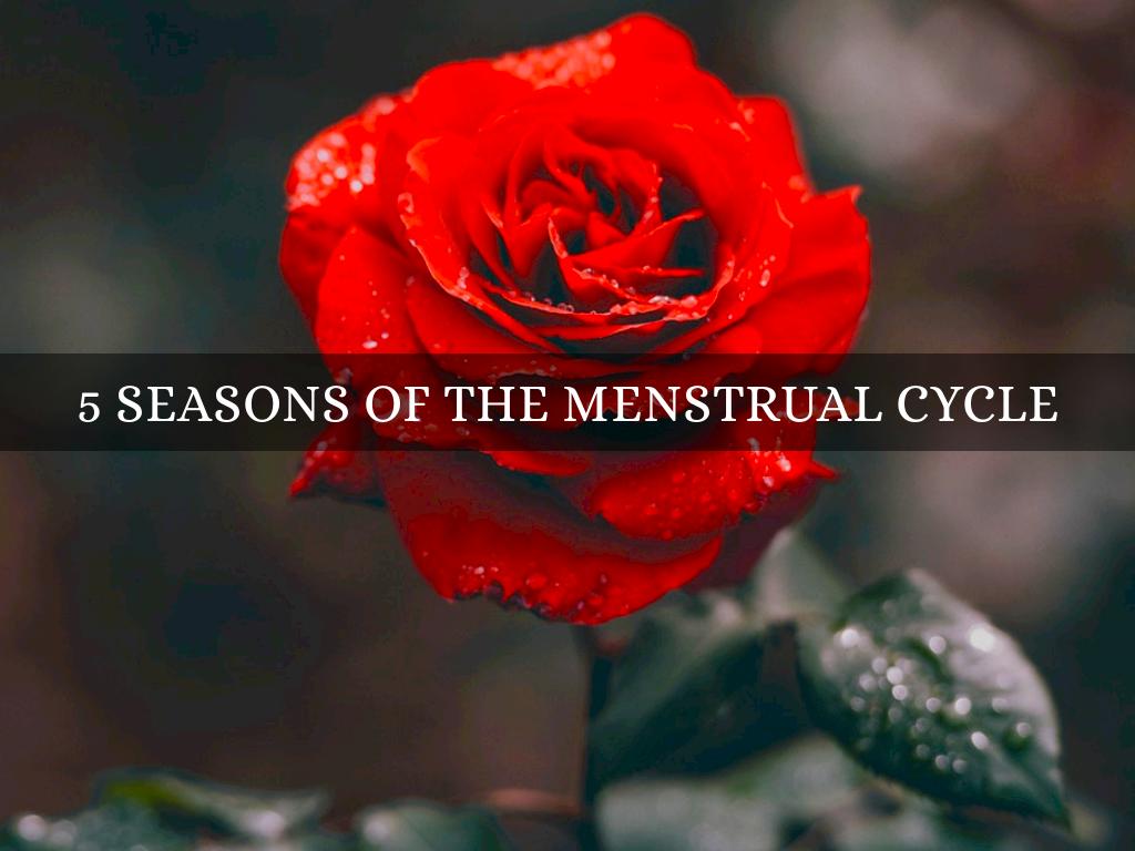 5 Phases of your Cycle