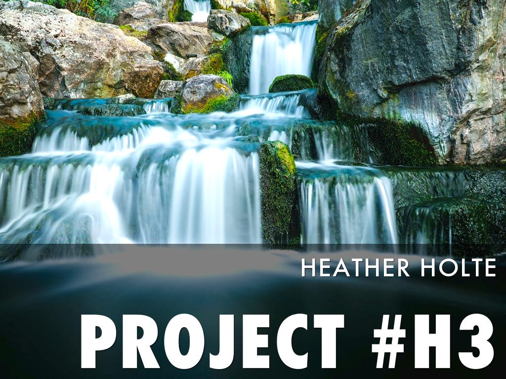 Asperger’s Heather Holte