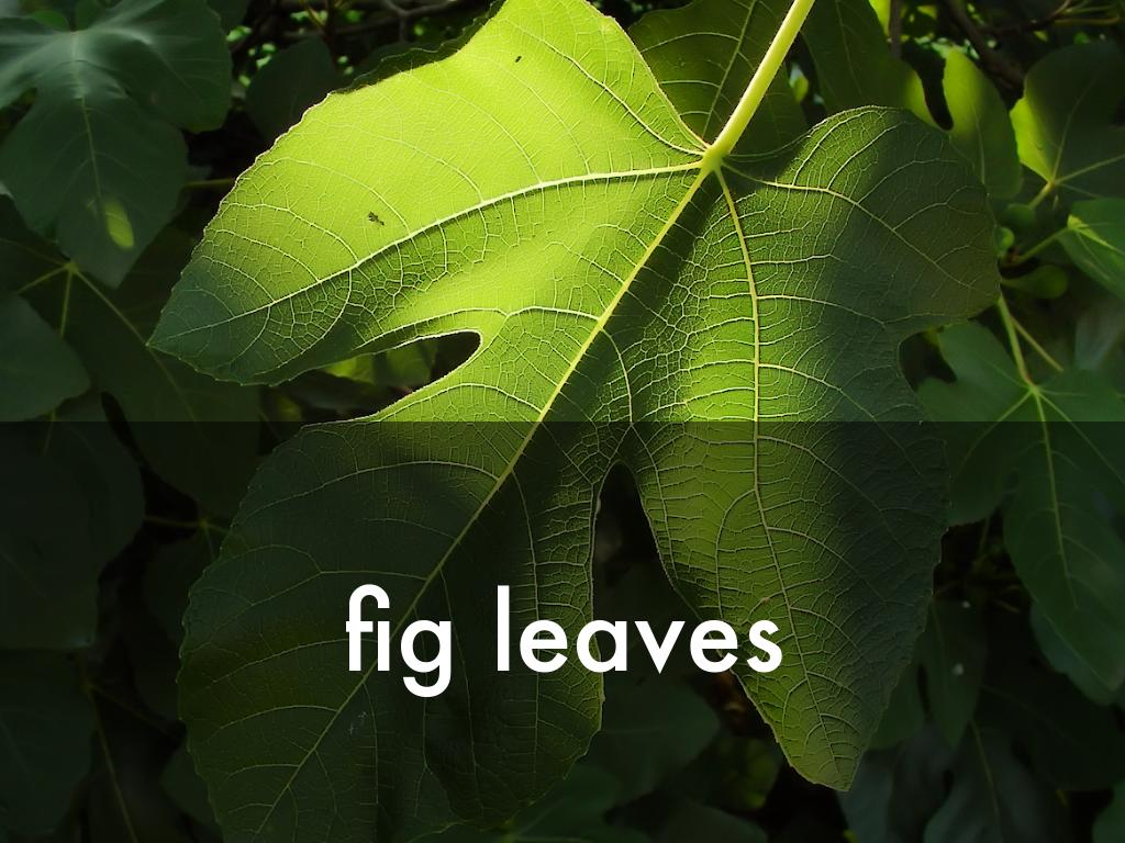 Sept 23 lesson by Valerie Marcum