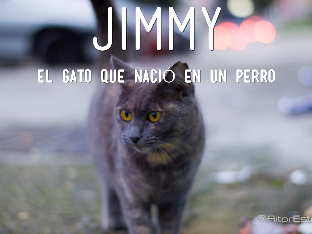 Jimmy 