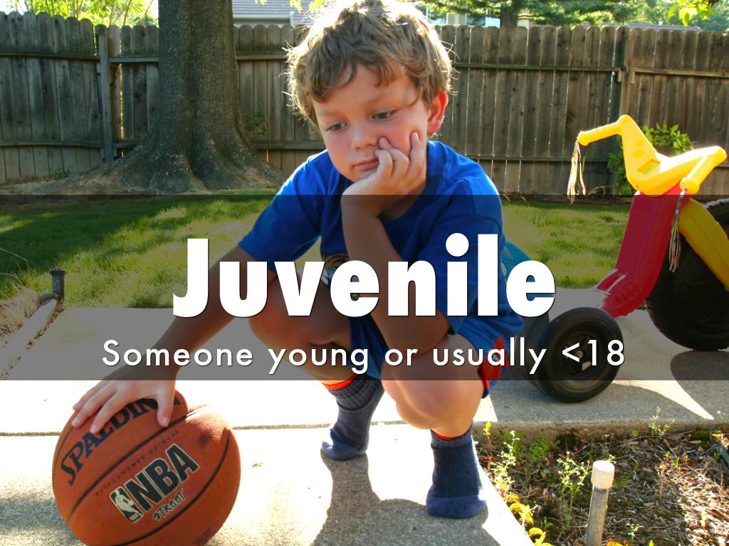 Judicial Branch Vocab