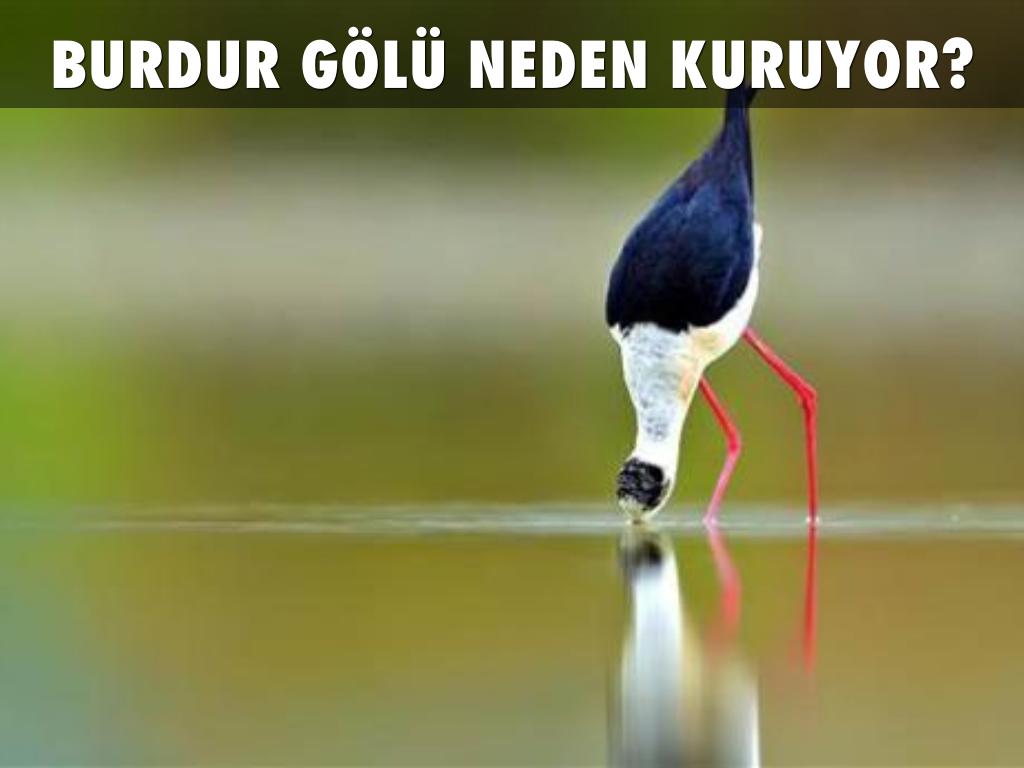 BURDUR GÖLÜ NEDEN KURUYOR?