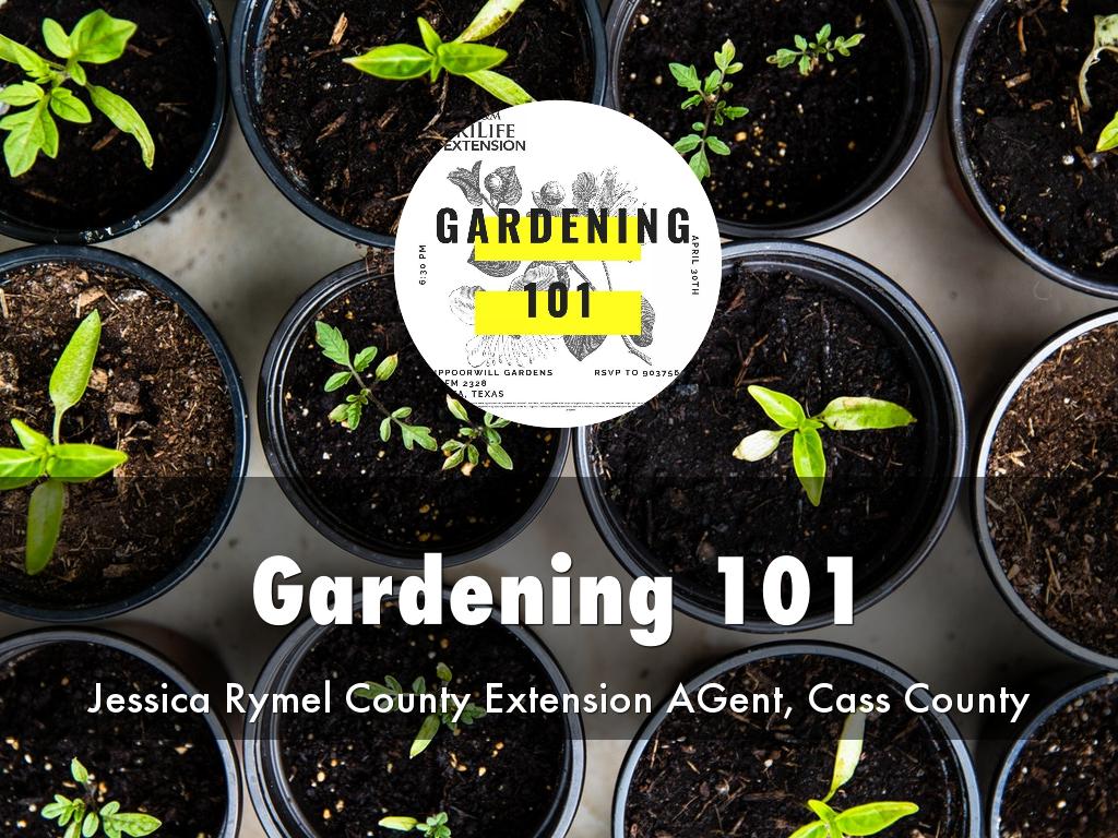 Gardening 101