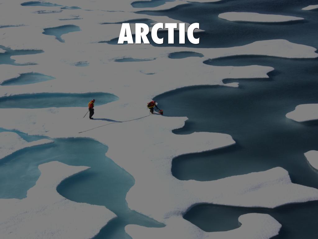Arctic