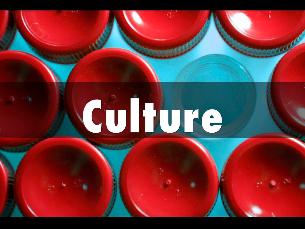 Culture Code