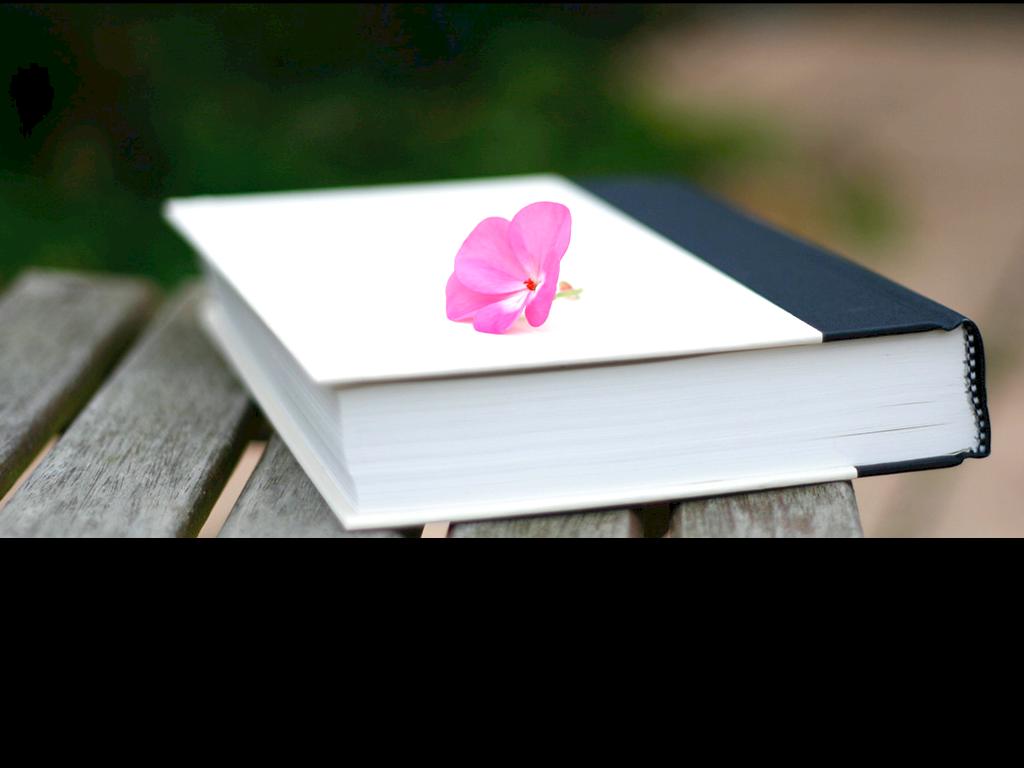 Haiku Deck en acciÃ³n