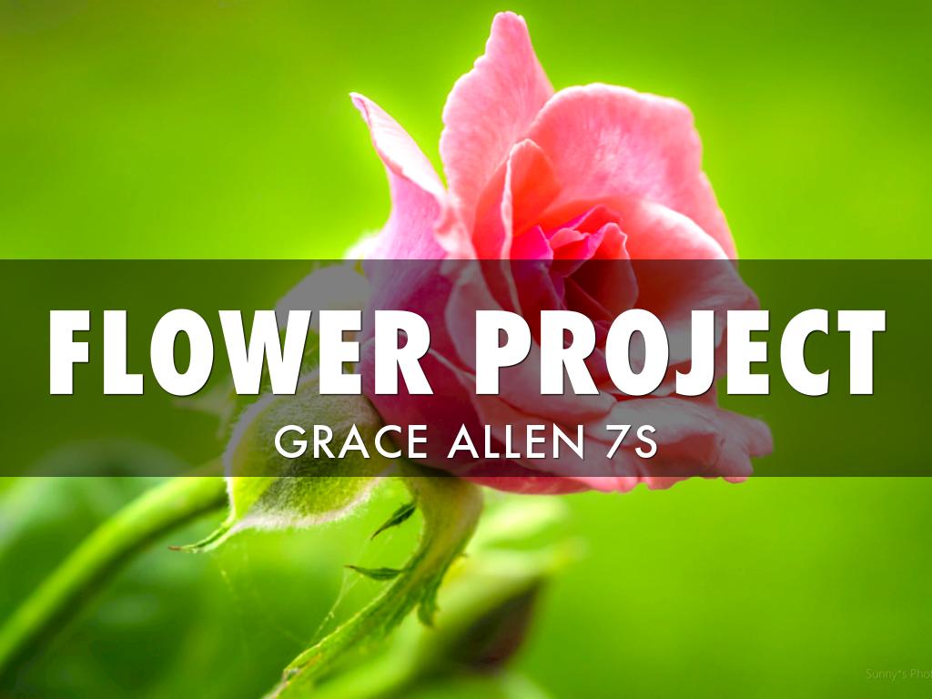 Flower Project
