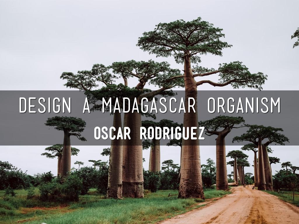 Design a Madagascar Organism