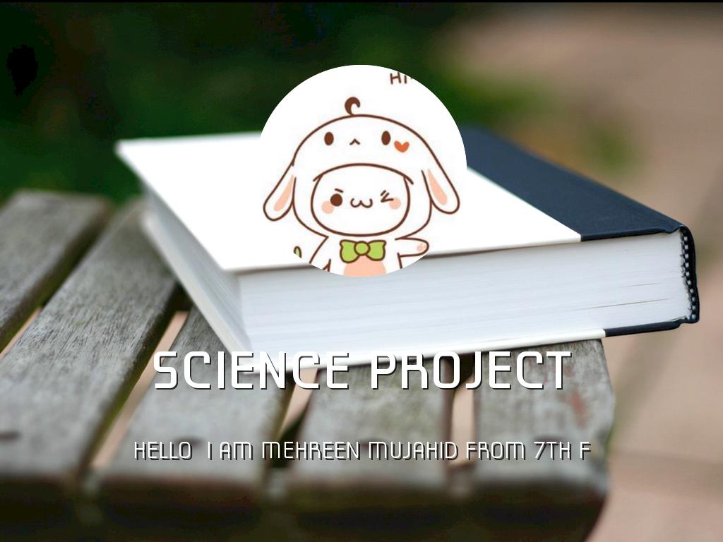 Mehreen Present 🎁 