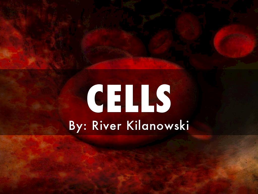 Cells