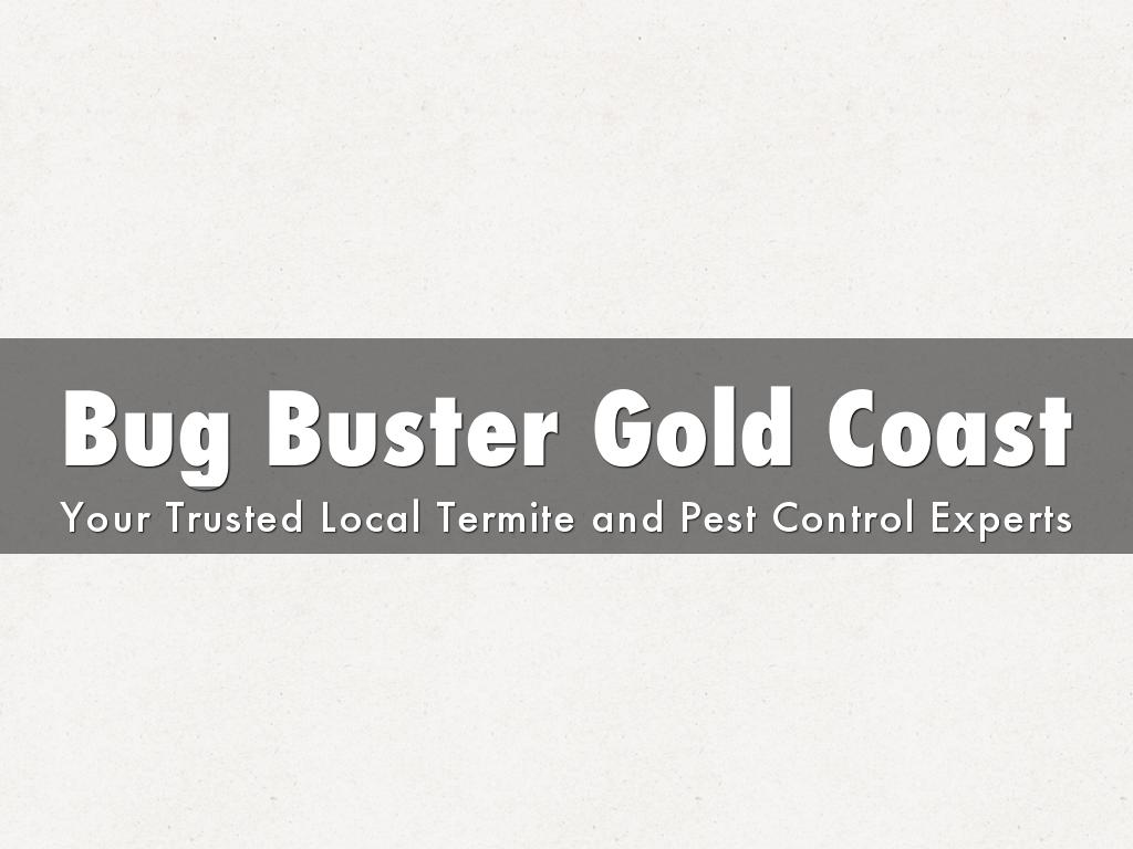 Bug Buster Gold Coast – Your Trusted Local Termite and Pest Control Experts