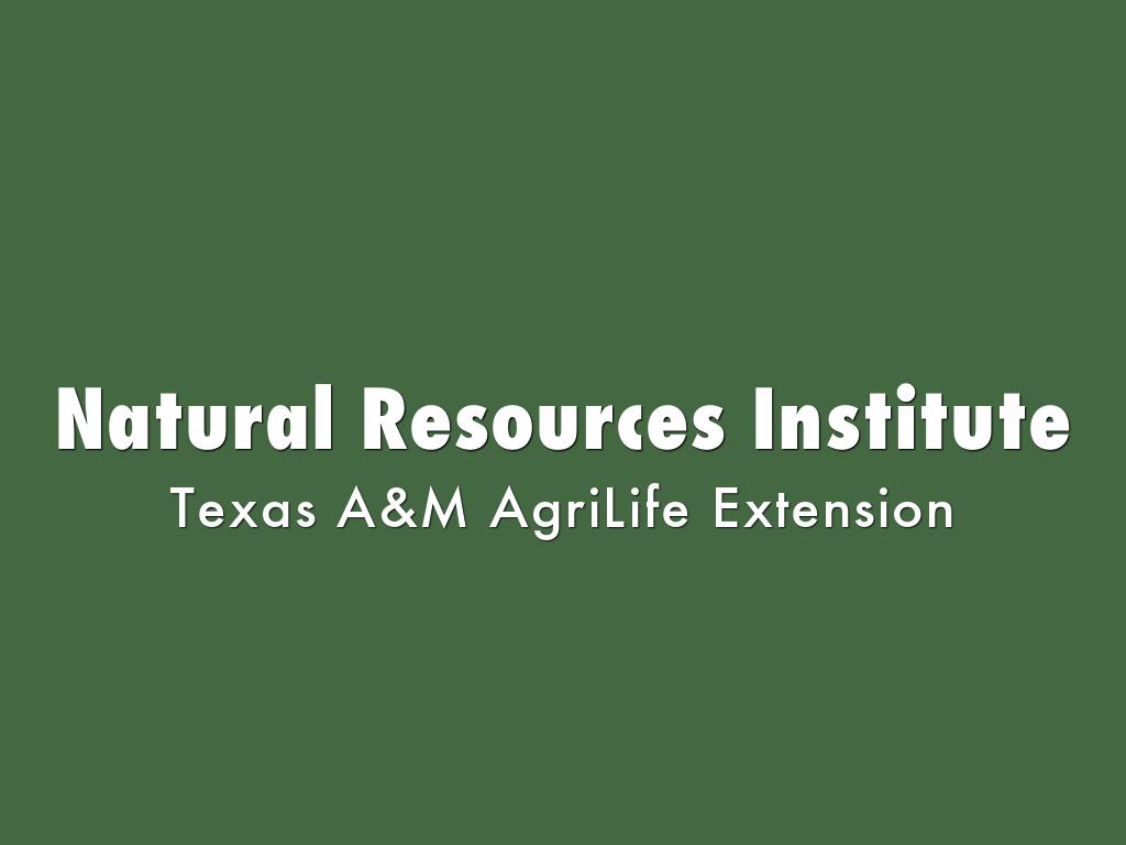 Natural Resources Institute