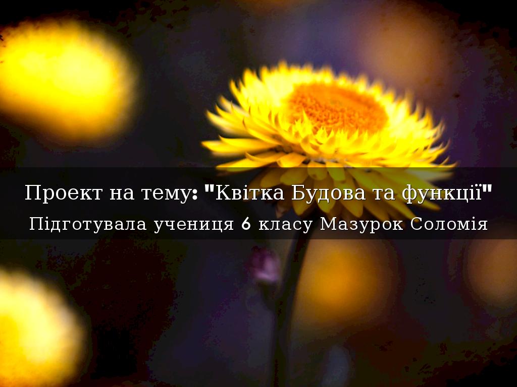 Проект на тему: "Квітка Будова та функції"
