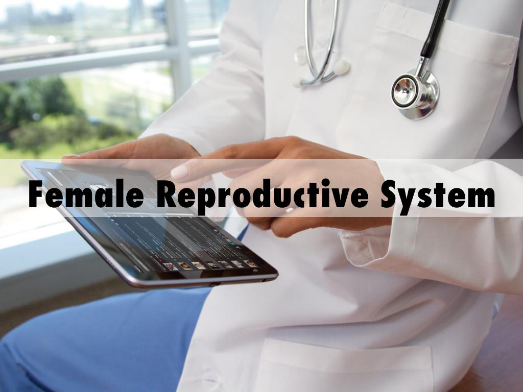 Female Reproductive System