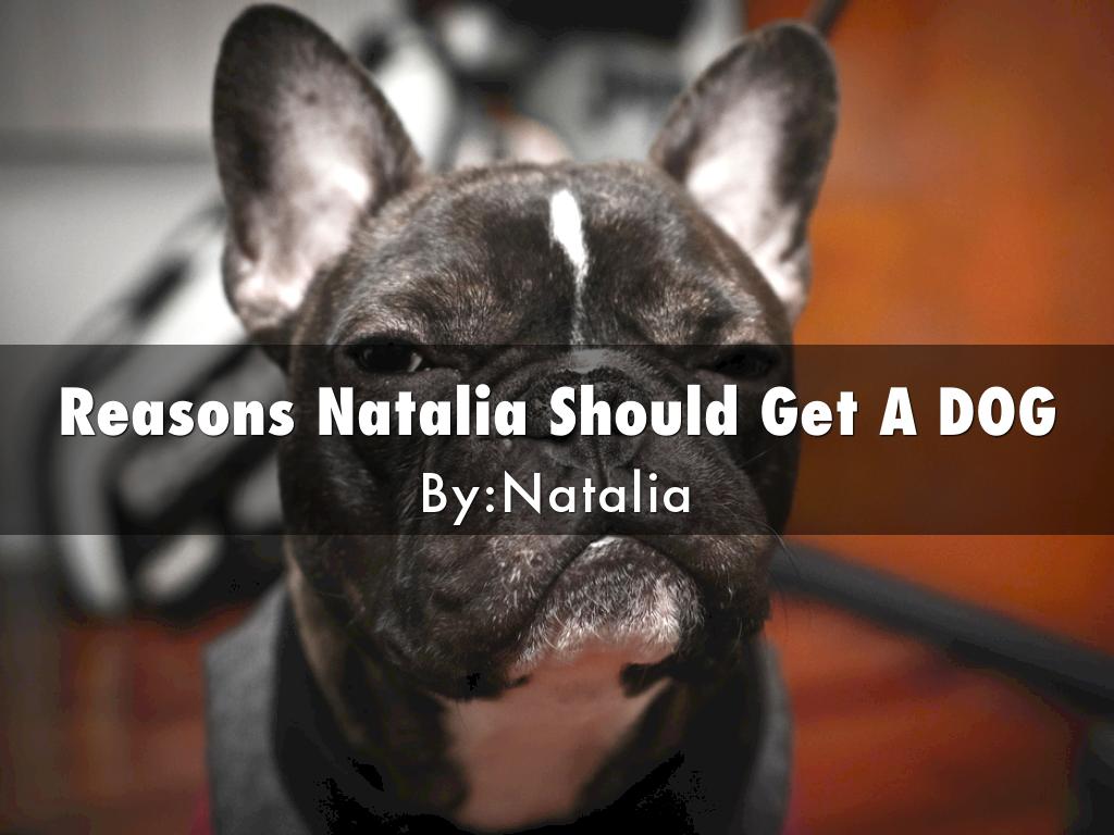 Reasons Natalia Should Get A Dog 
