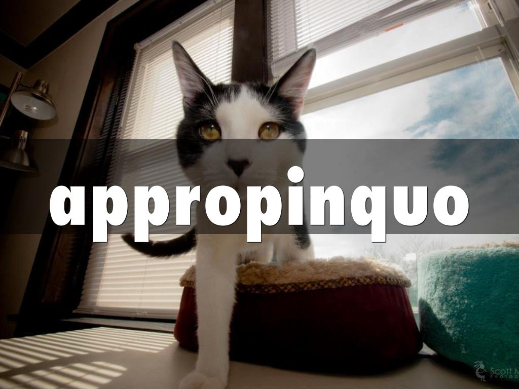 Alex Fargis Stage 17 Vocab