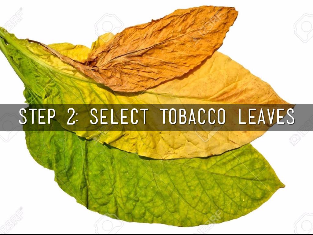 Lay out allowing the veined sides  pointed upwards.