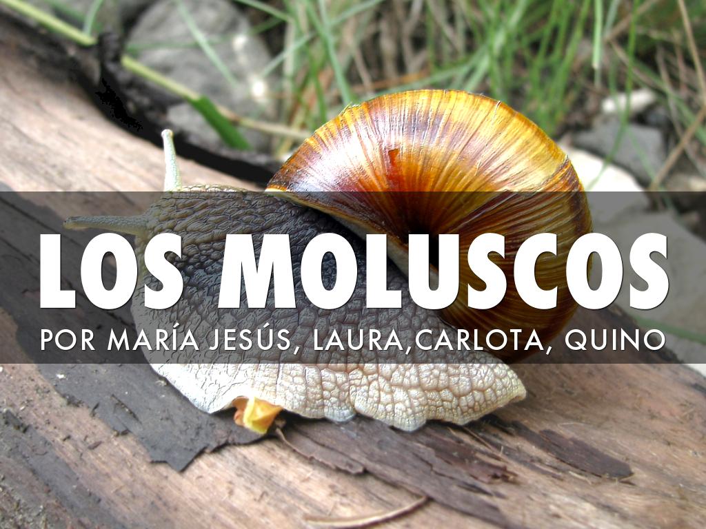 Â¿QuÃ© es Haiku Deck?