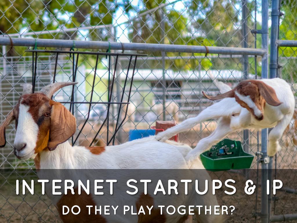 Startups And IP