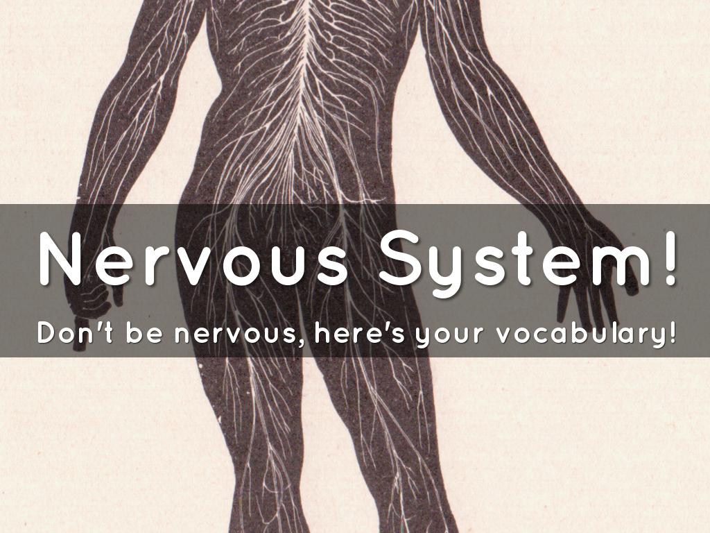 Nervous System!