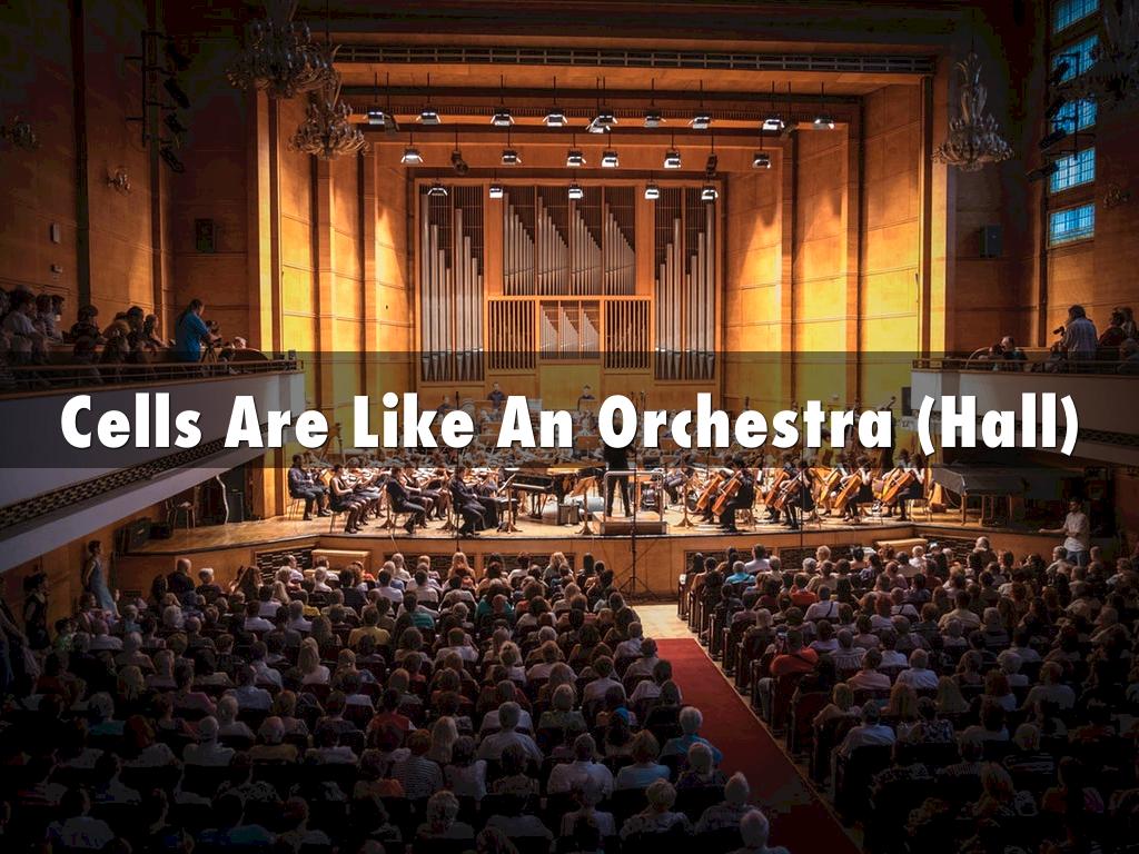 Cells are like an orchestra (hall)