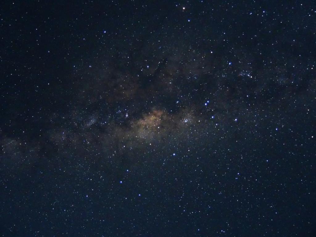 Animal performance backgrounds