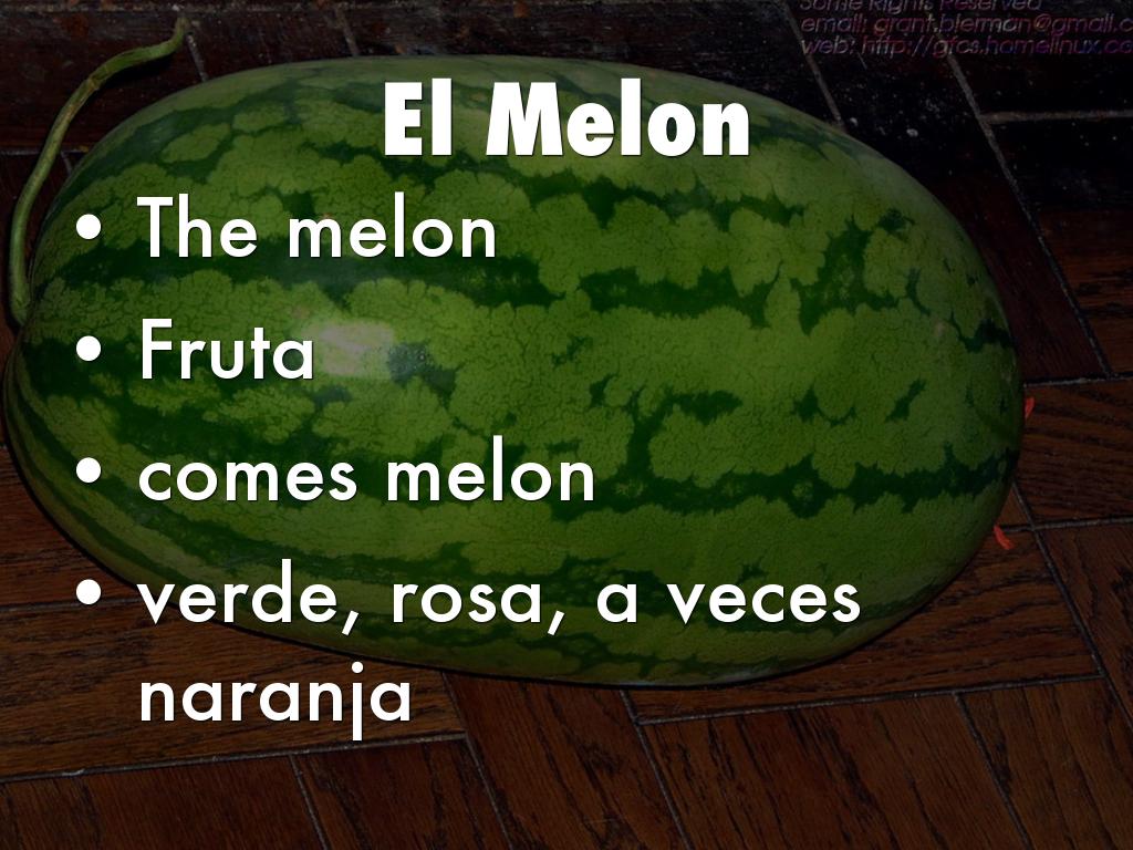 Vocabulario 7B by Tamara Tamez