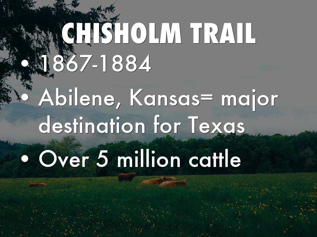 Cattle Kingdom by Tanya Hassan