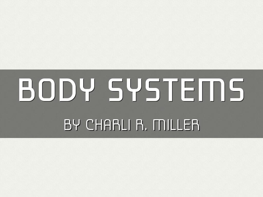 Body System 
