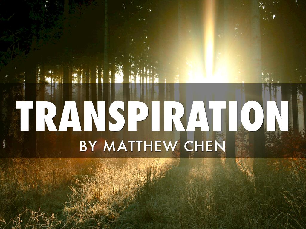 Transpiration 