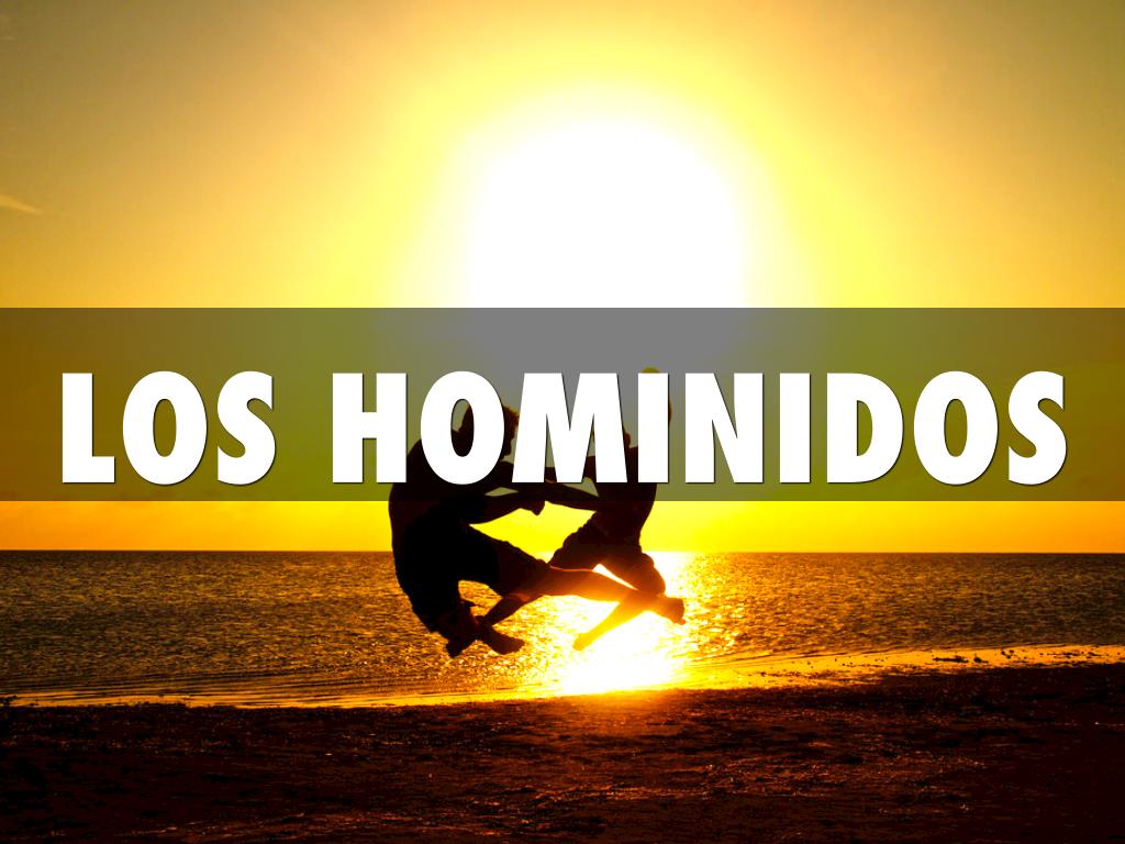 HOMINIDOS