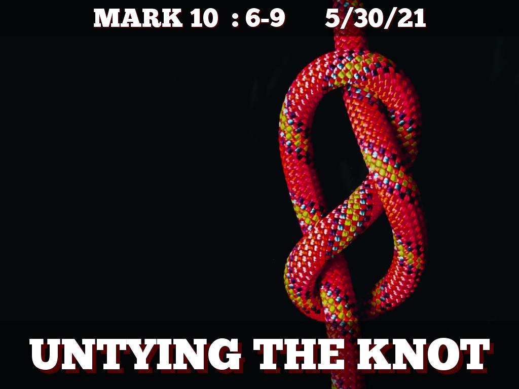 Untying the Knott by Stephen Boone