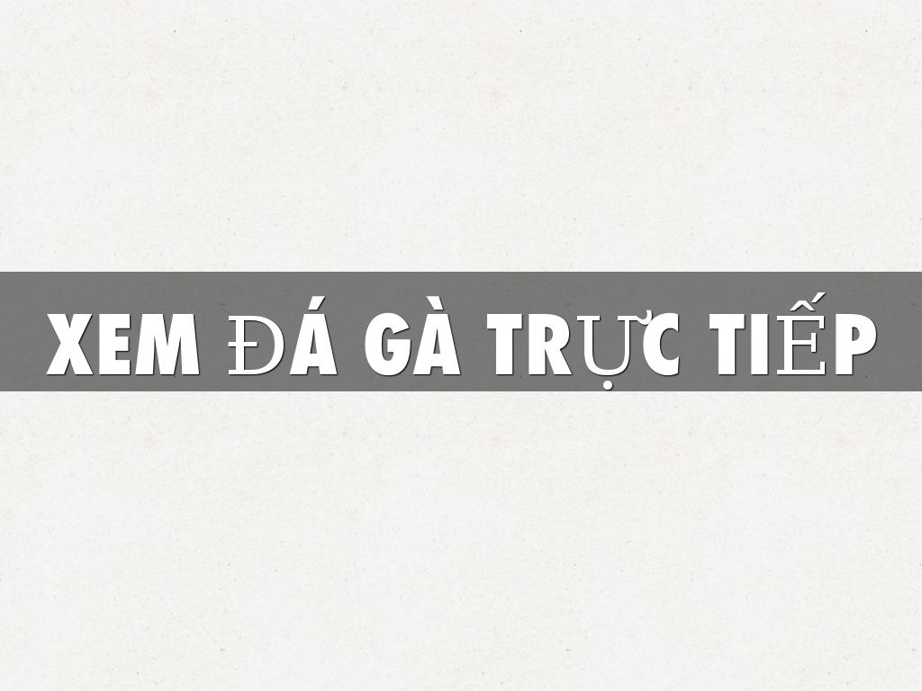 XEM ĐÁ GÀ TRỰC TIẾP