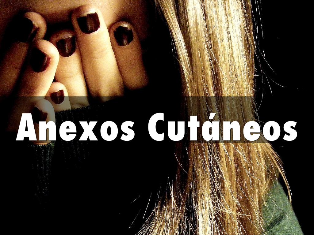 Anexos Cutáneos