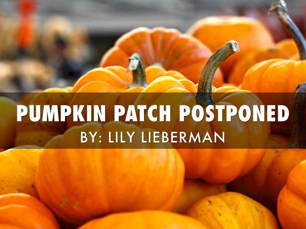 Pumpkin Patch 