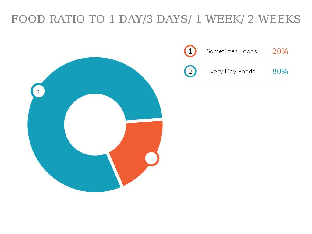 Food Education Slides 