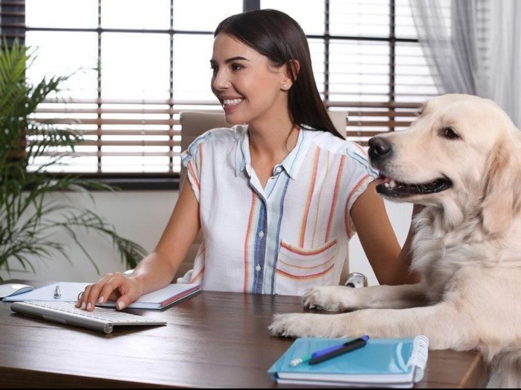 RealEsaLetter.com vs Esapet.com: What You Should Know