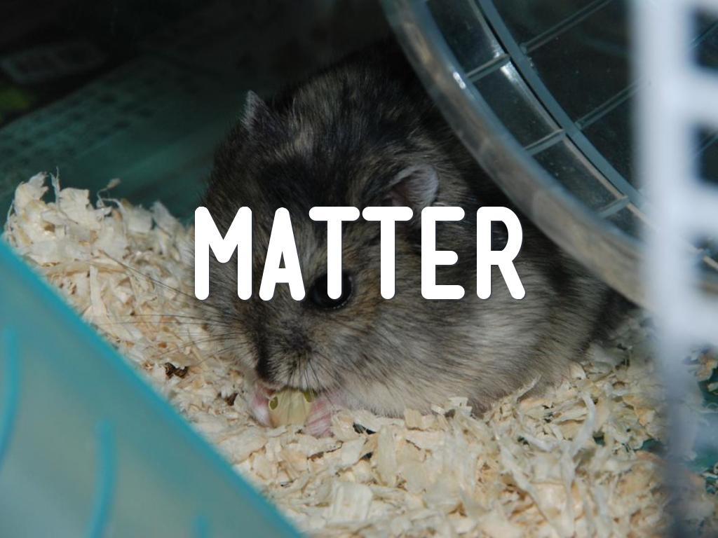 Vocabulario - Sciencias