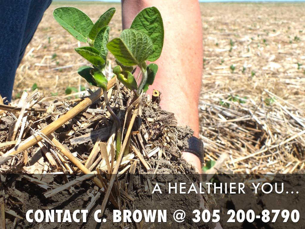 Building Your Road To A Healthier You