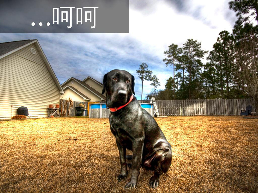 æ¤æ¤è®¡è¾