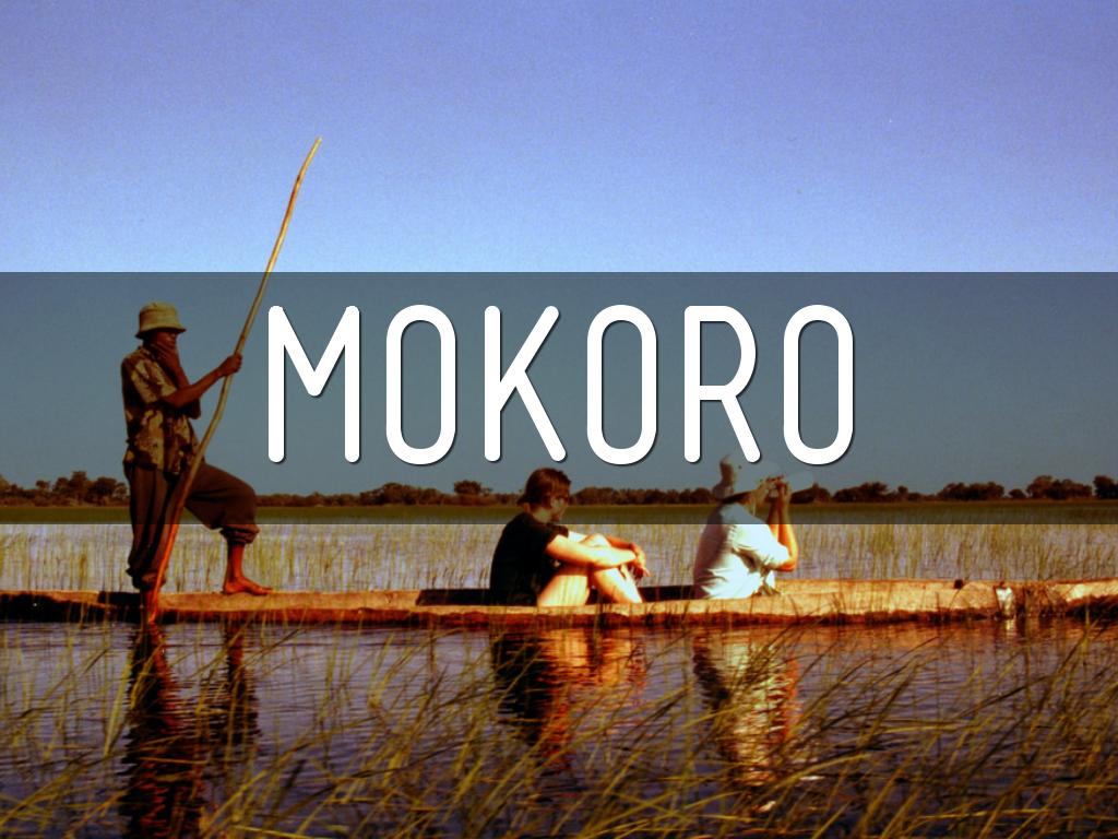 Mokoro