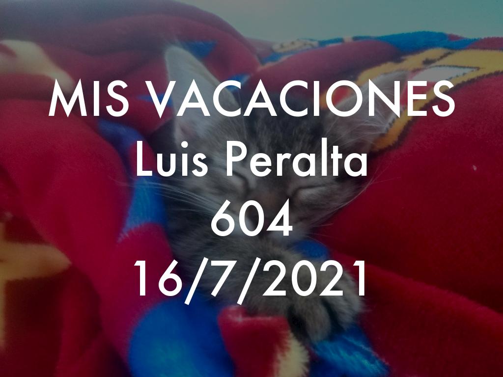 MIS VACACIONES 