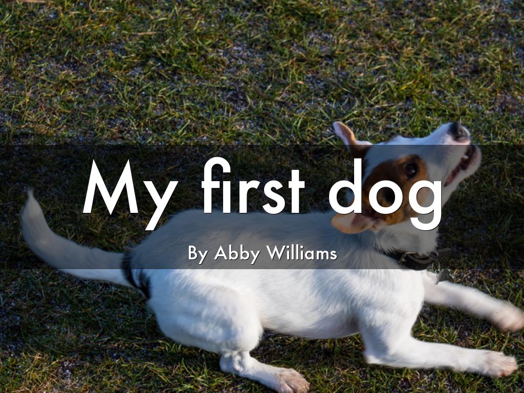 My first dog