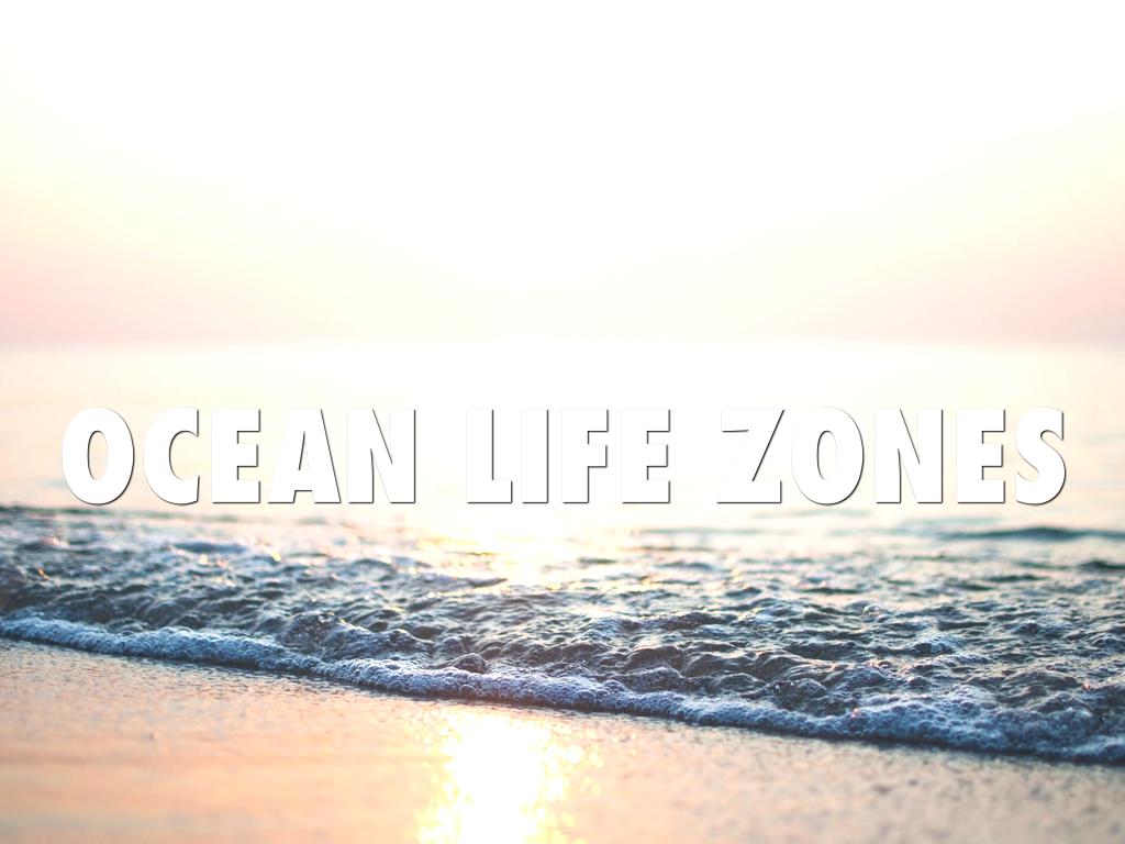 Ocean Life Zones