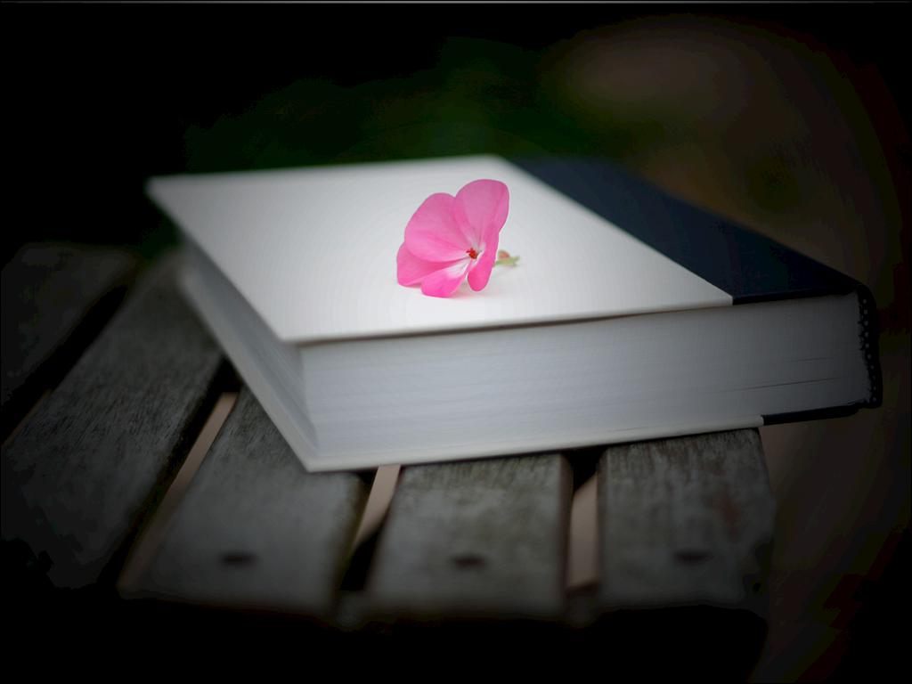 Haiku Deck In Action