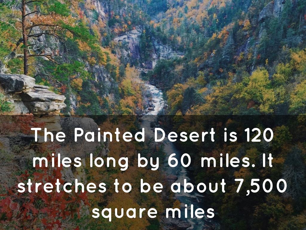 The Painted Desert by Jasmine Ogden