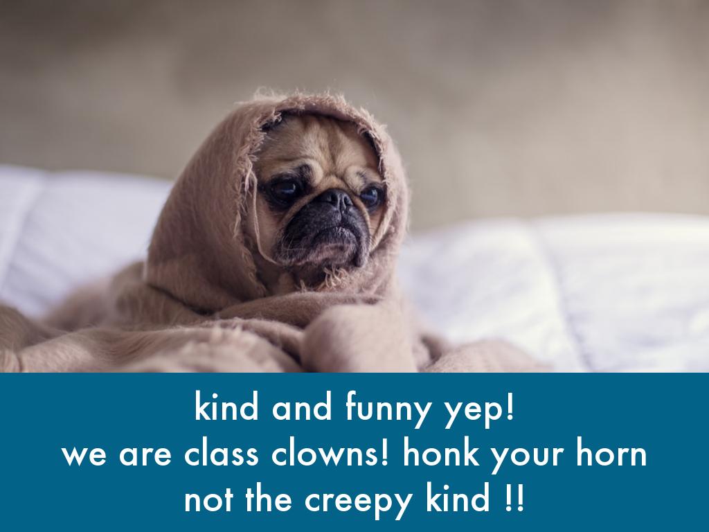 pugs and class clowns
