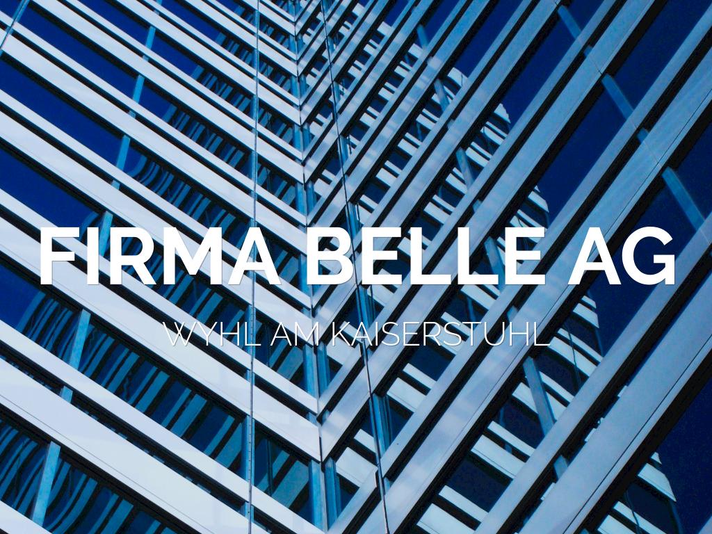 Kopie von Professional Profile Template