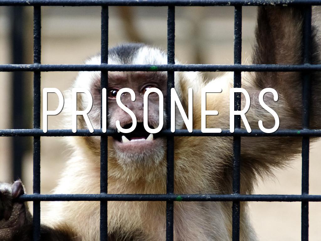 Prisoners 