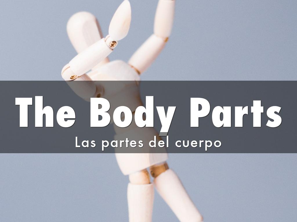 The Body Parts